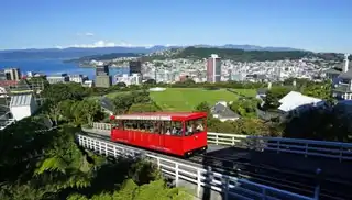 The 11 essential things to do in Wellington