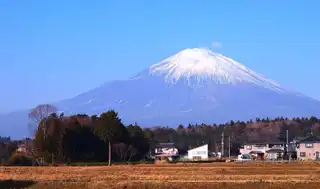 In which quarter house in Shizuoka?