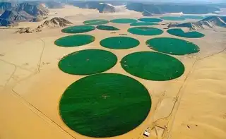 Agricultural land in the wilderness of Wadi Rum in Jordan