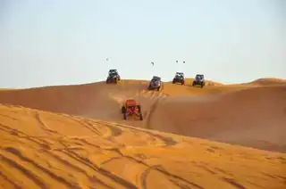 Visit the Dubai desert in quad or buggy