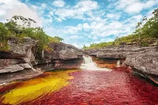 Caño Cristales, Colombia's 5-colored shore