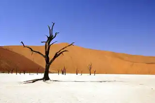 Dead Vlei, beautiful to die