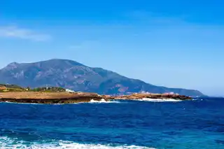 The 7 essential things to do in Tipaza