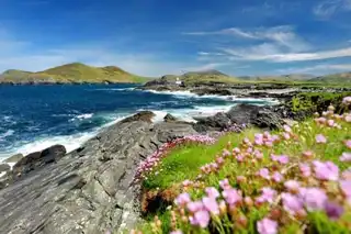 Visit the Year of Kerry from Cork: reservations