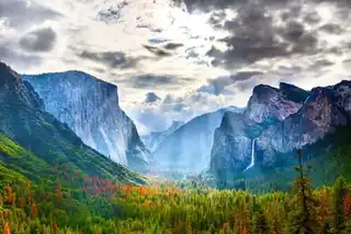 Visit Yosemite National Park: tickets, prices, schedules