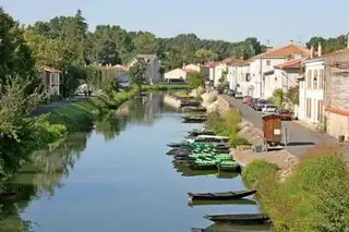 Visit the Regional Natural Park of the Poitevin Marais