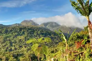 Visit the Soufrière Volcano