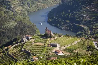 16 day trips from Porto