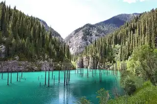 The submerged forest of Kaindy Lake in Kazakhstan