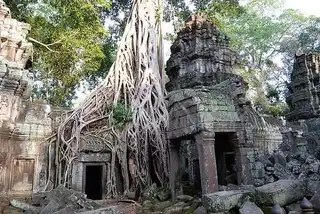 Visit Angkor temples in mountain biking