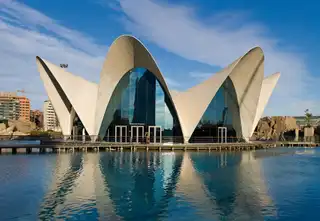 The 17 things to do in Valencia