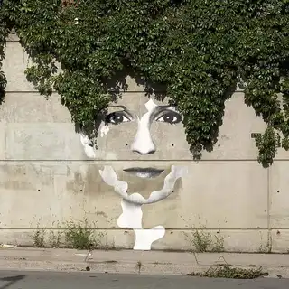 35 street-art works in interaction with nature