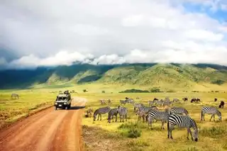 The 9 best safaris in Tanzania