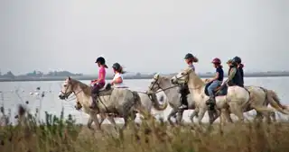 Pont du Gard and Camargue the time of a stay