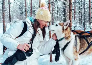 Chien de drageau à Rovaniemi : Bookings & Rates