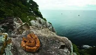 The island of Queimada Grande, "Island with snakes"