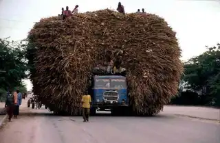 In images: the most overloaded vehicles around the world