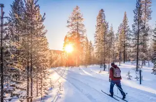 The 6 must-see activities to do winter in Finnish Lapland