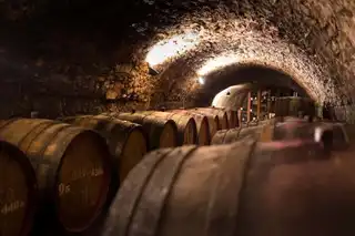 Where to make a wine tasting in the Jura?