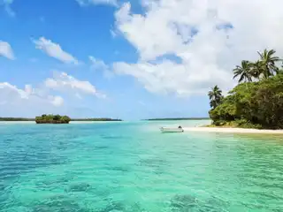 On which island house in New Caledonia?