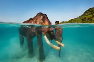 36 pictures under the surface of the water to breathe