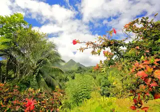 7 places to make canyoning in Martinique