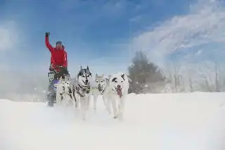 9 places to do sled dog in the Pyrenees