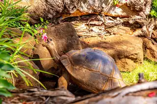 Ecuador: discovering the Galápagos Islands