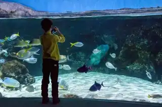 The 10 best aquariums in France