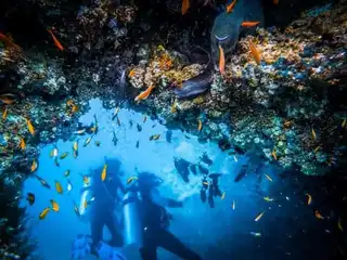 The 9 best diving spots in Cape Verde