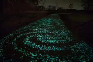 The Netherlands unveils the first phosphorescent cycle track