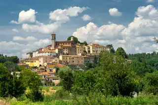 The 14 things to do in Arezzo