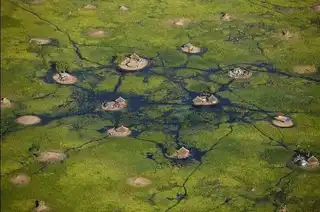 The impenetrable marshes from Sudd to South Sudan