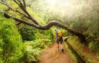 The 10 most beautiful hikes to make in Madeira • Wanderlix