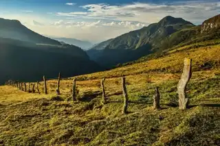 Luxuriant transfer to Los Nevados Park in Colombia