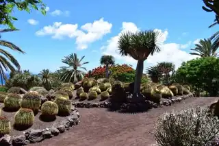 Visit the Oasis Park in Fuerteventura: tickets, prices, schedules