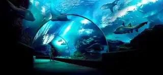 Visit Sea Life Ocean World in Bangkok: tickets, fares, schedules