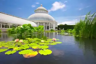 Visit the botanical garden of New York: tickets, prices, schedules