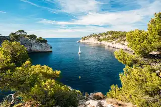 Visit the Cassis calanques