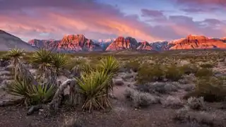 Visit the Red Rock Canyon from Las Vegas: tickets, prices, schedules