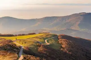 Visit the Regional Natural Park of the Balloons of the Vosges: a complete guide