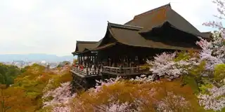 Visit Kiyomizu Dera Temple in Kyoto: tickets, prices, schedules