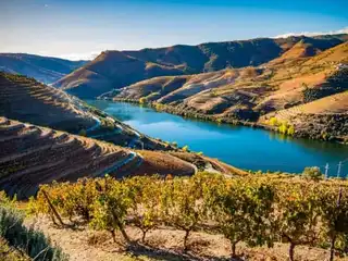 Visit the Douro Valley • Wanderlix