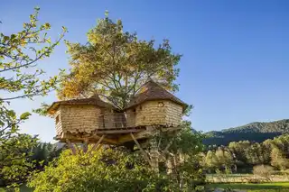 We found the cabins in the coolest trees of Airbnb