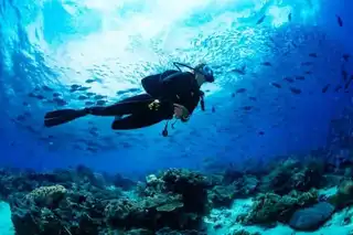 What travel insurance to scuba diving?