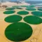 Agricultural land in the wilderness of Wadi Rum in Jordan