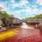 Caño Cristales, Colombia's 5-colored shore