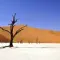 Dead Vlei, beautiful to die