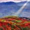 The red land terraces of Dongchuan