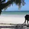 How to reach Ramena, the most beautiful beach in Madagascar?